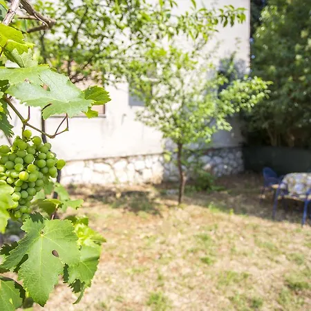 Cosy And Comfortably Apartment Rijeka